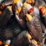 Khô cá sặc trứng 1 nắng siêu ngon